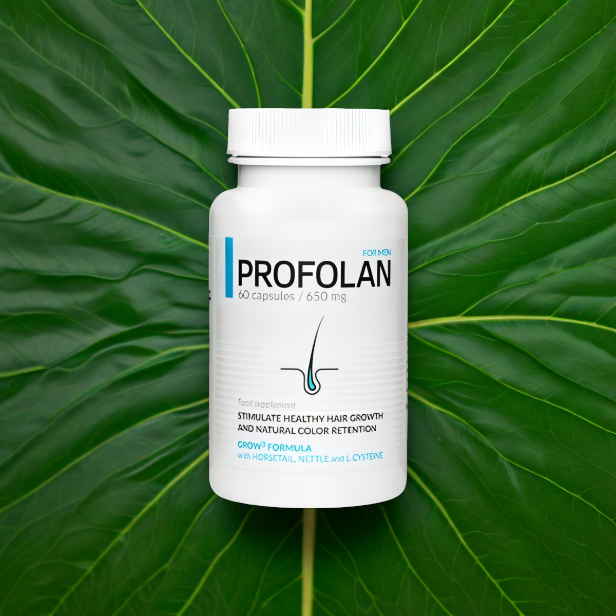 Profolan