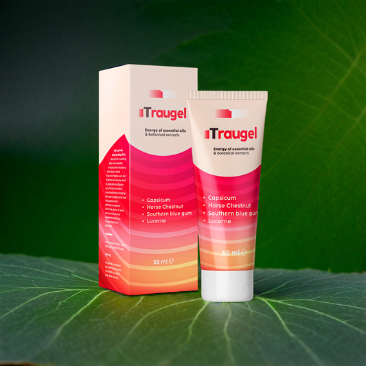 Traugel