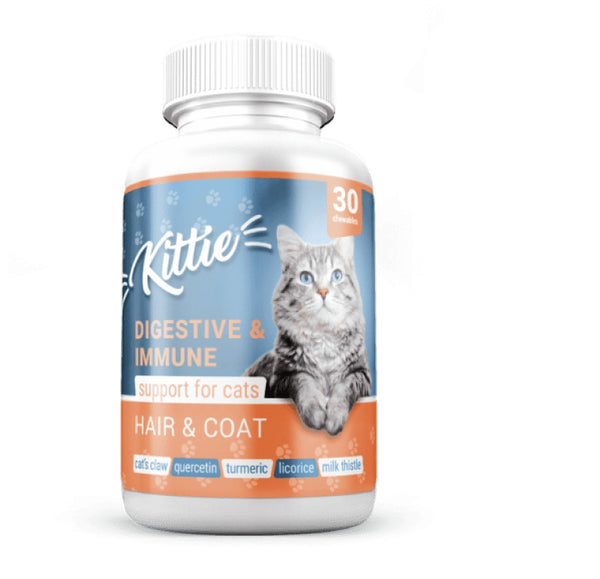 Kittie Ch Blue