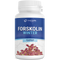 Forskolin Winter