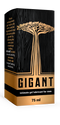 Gigant